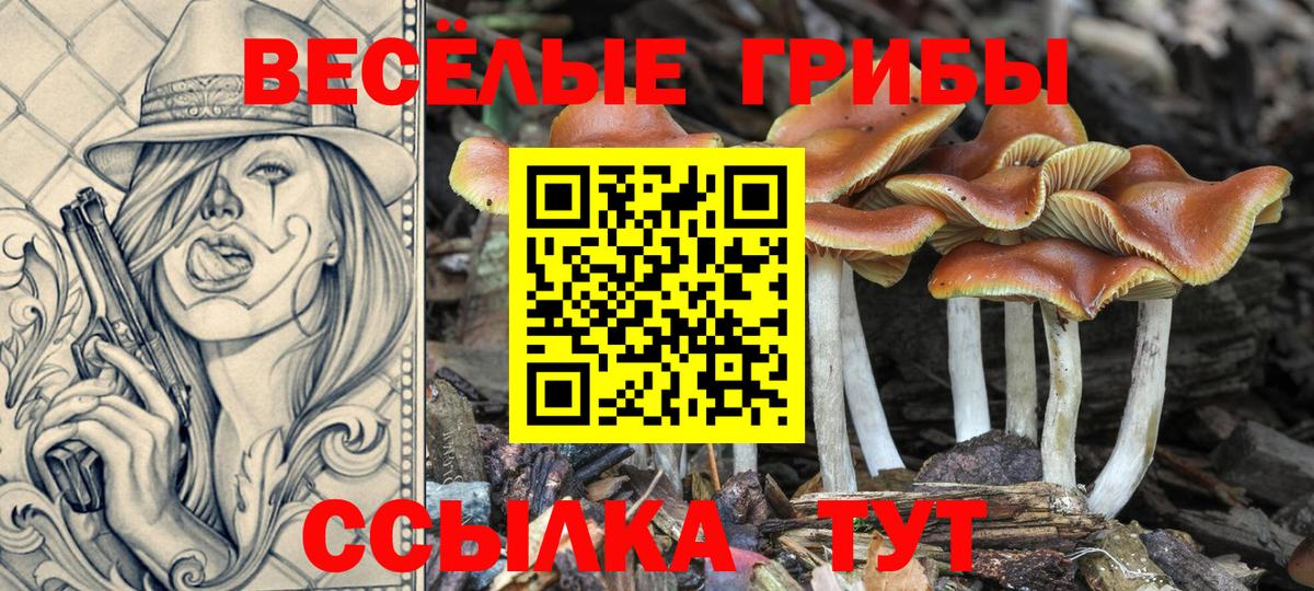 Галлюциногенные грибы ЛСД Ульяновск