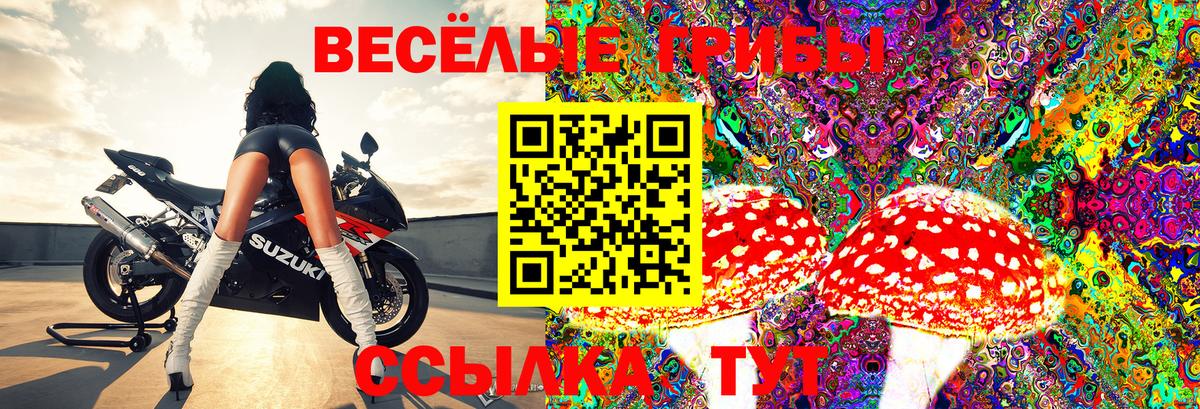 Псилоцибиновые грибы Cubensis  Галлюциногенные грибы мицелий  Ульяновск  Вход с VPN 